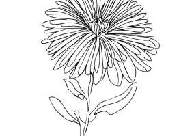 The Aster Crypto Project: What It Is & Why It Could Change Everything